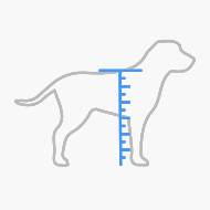 Captura de Pantalla 2021-09-01 a la(s) 18.02.01